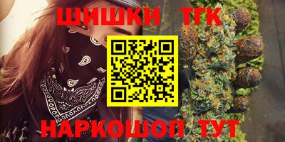 прущие грибы Ставрополь