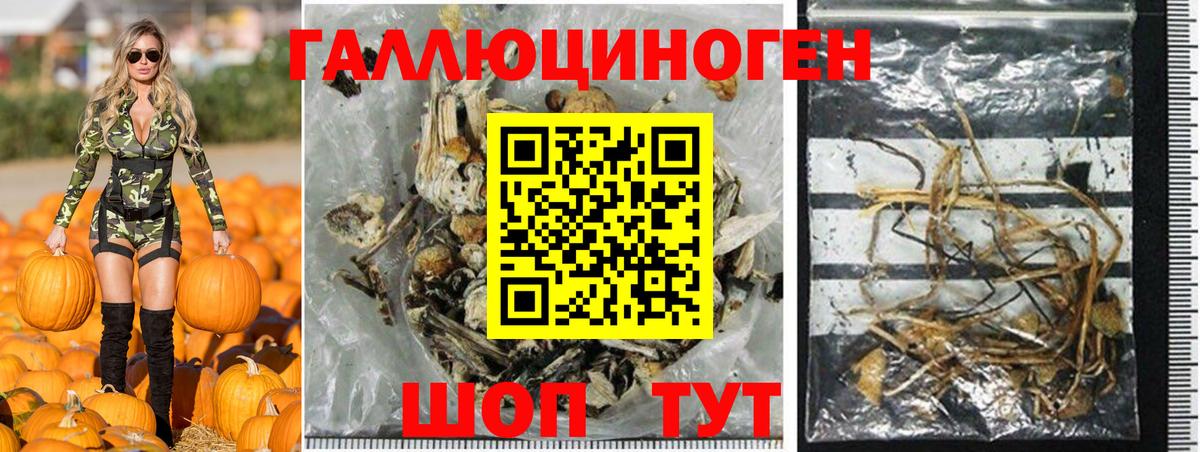 Галлюциногенные грибы MAGIC MUSHROOMS Саянск