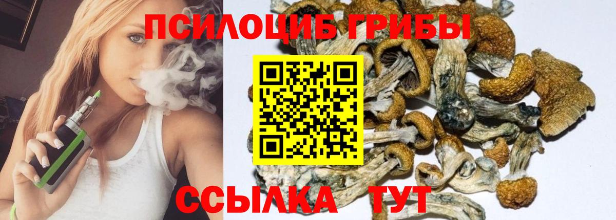 Псилоцибиновые грибы прущие грибы  Вход с VPN  Саянск 